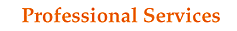 Professional Services