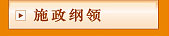 施政纲领