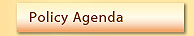 Policy Agenda