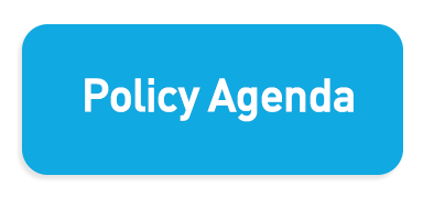 Policy Agenda