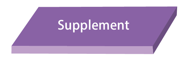 Supplement